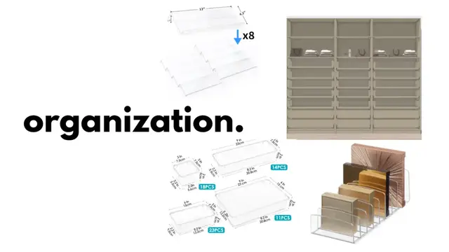 Organization 