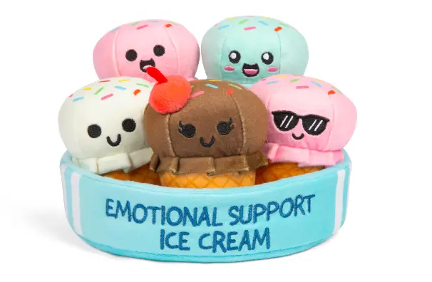 Emotional Support Ice Cream