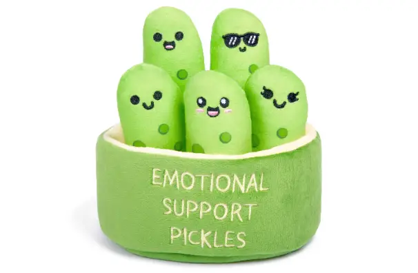 Emotional Support Pickles