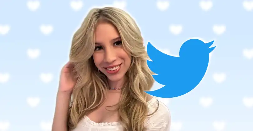 🐦 Follow My Twitter