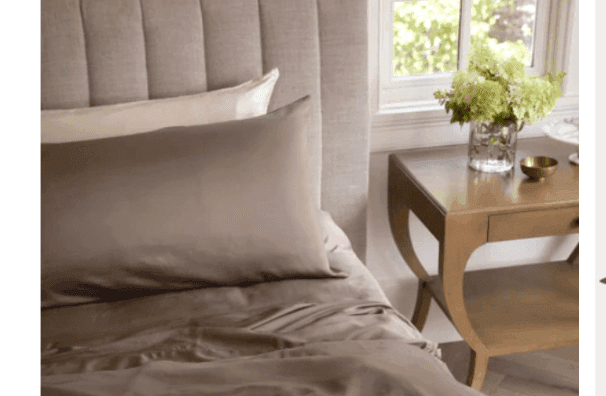 Cozy Earth comforter 