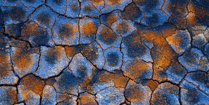 Earth Canvas - 1 of 1s