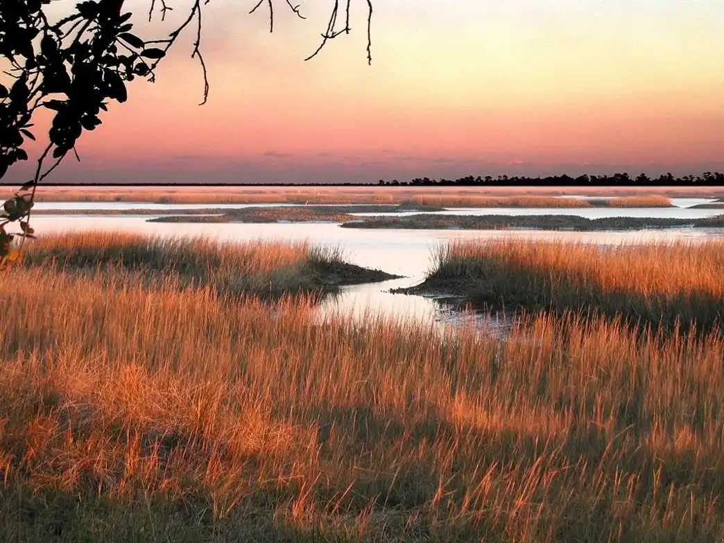 Dirty Marsh Outfitters