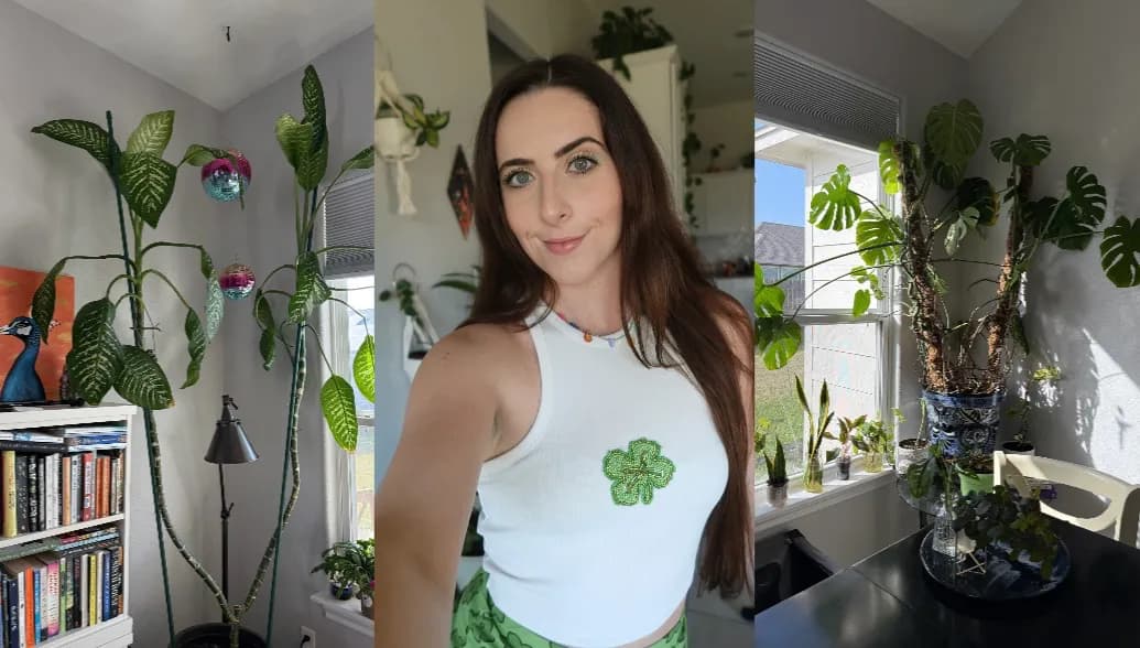 Over 200 houseplants - plant tour 🪴