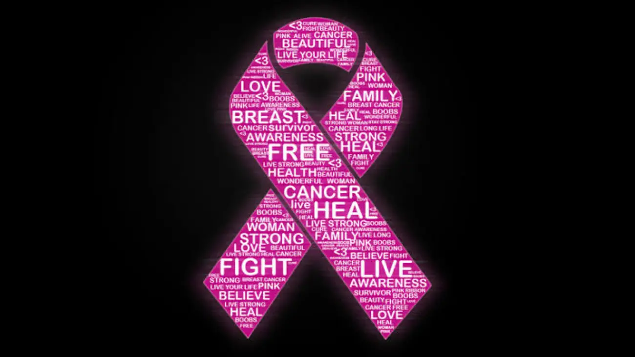 Breastcancer.org Donatation Page