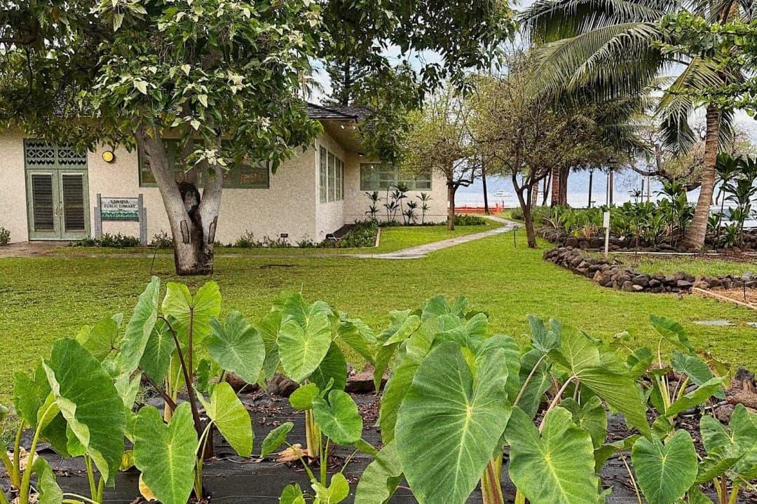 Maui Fire Relief Resources — By Tahiti Kulia