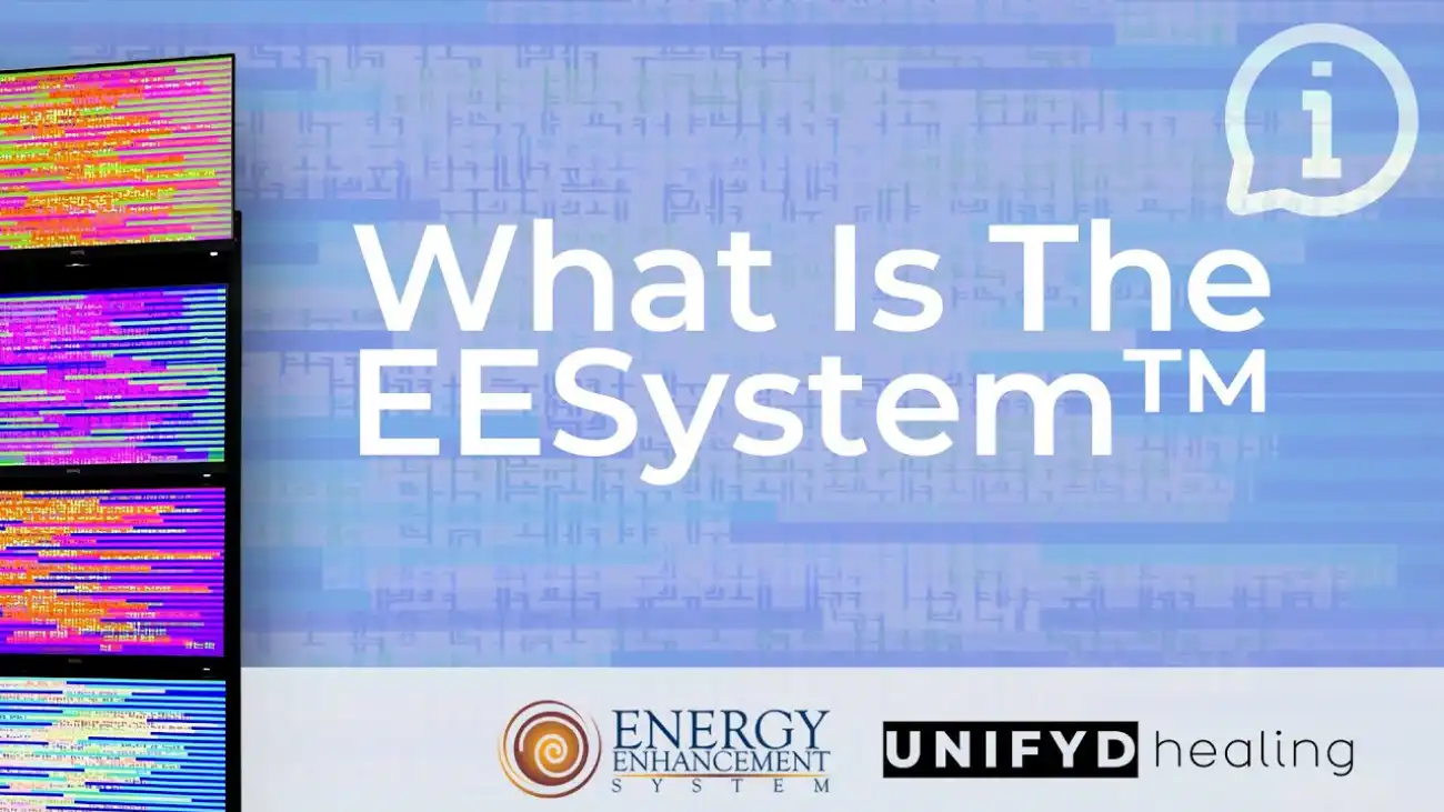 What is the EESystem?