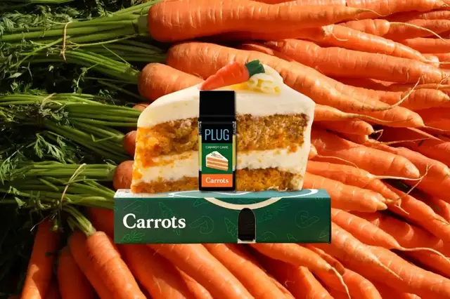 GreenState | Anwar Carrots x PlugPlay release highly anticipated collaboration