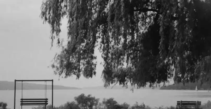 Presave "The Long Breath" / "The Willows"