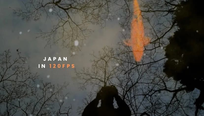 Latest Youtube Post