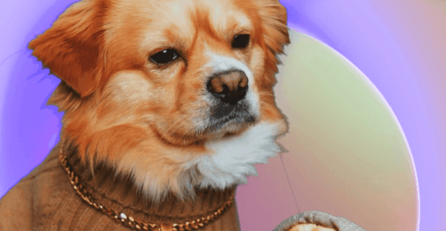 STREAM “DAT’S MY DAWG” 