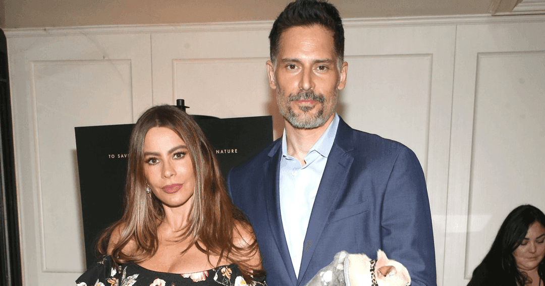 Joe Manganiello Sofia Vergara Divorce Update