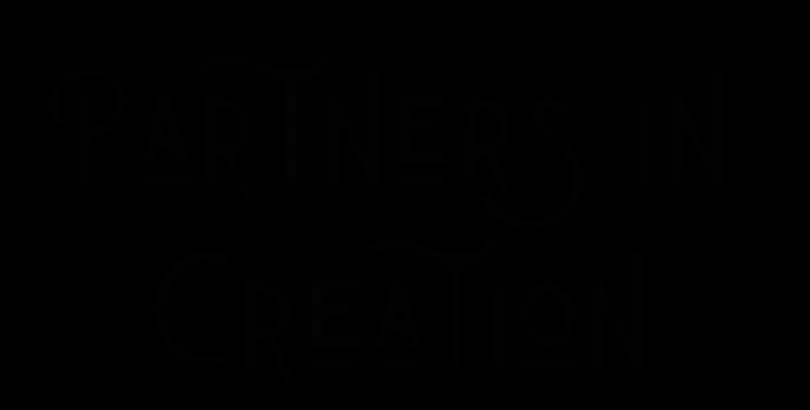 Our Website