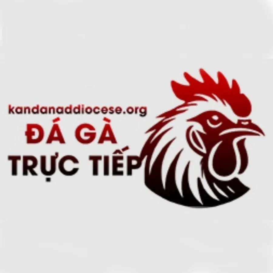 Đá gà Trực tiếp