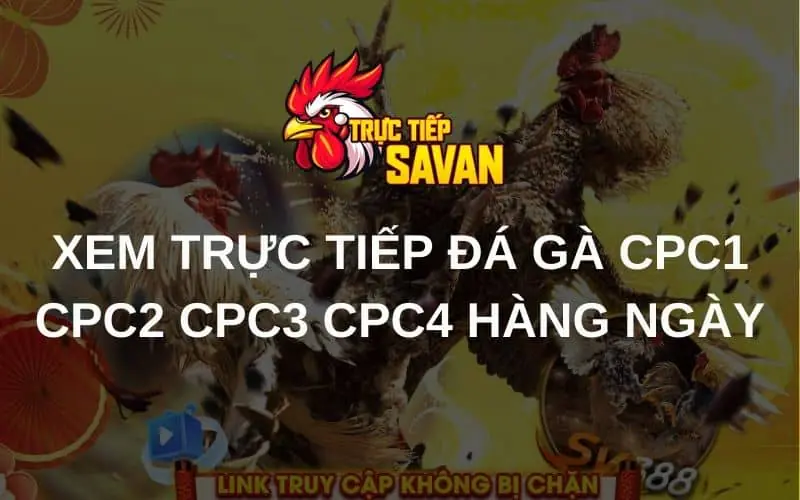 TRỰC TIẾP SAVAN - TRANG XEM TRỰC TIẾP ĐÁ GÀ THOMO UY TÍN HIỆN NAY