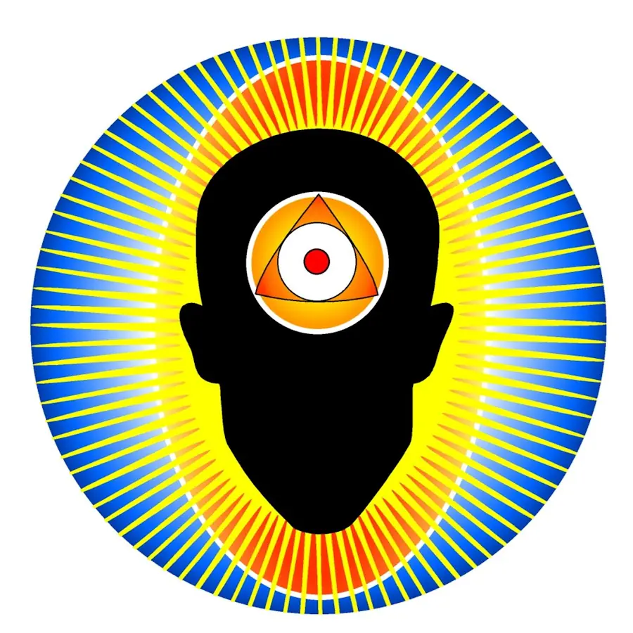 SpinecheckerTV YouTube Channel