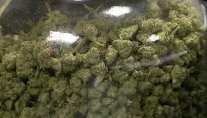 Albuquerque pot shops partner with weed-delivering company