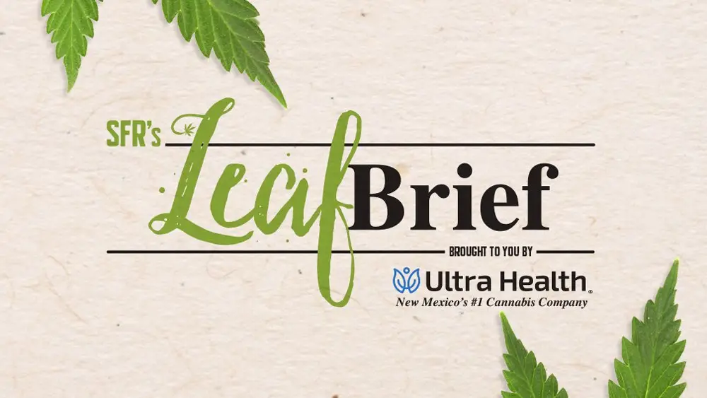 Leaf Brief: March 2024