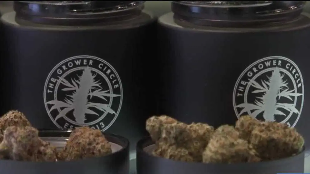 Cannabis dispensaries join forces with new delivery service
