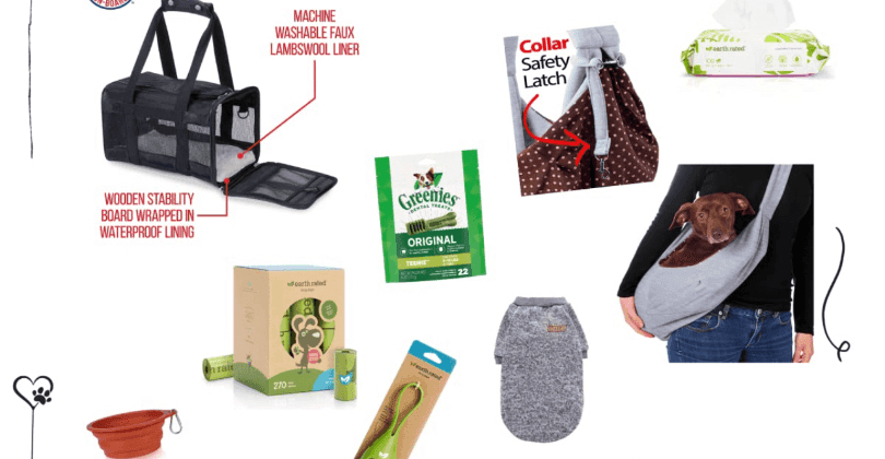 Dog Travel Essentials