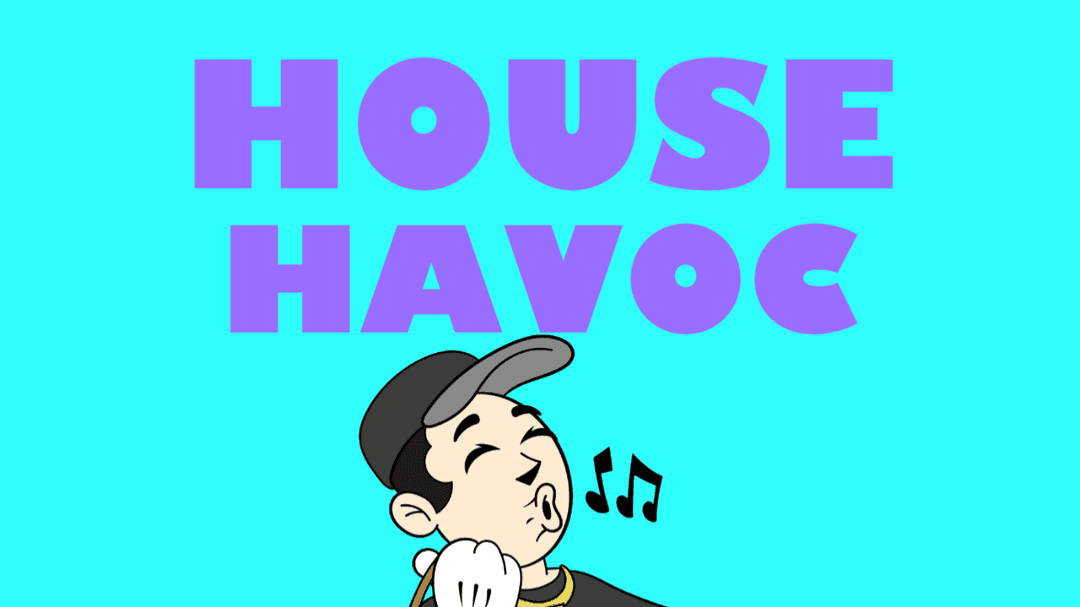 ✨HOUSE HAVOC✨ Spotify playlist by FRASER