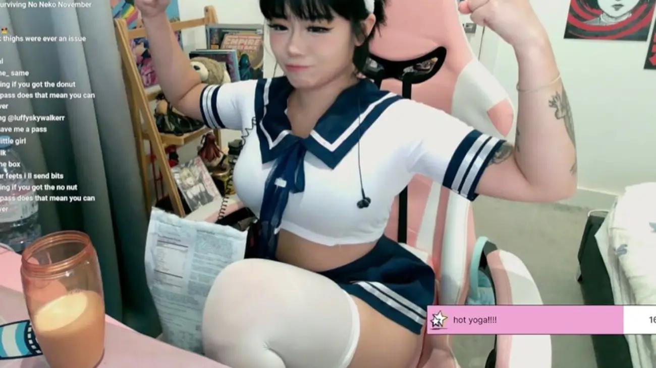 ♡ᵕ̈ Twitch