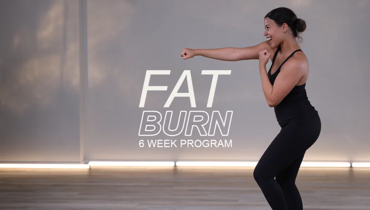 6 Week Fat Burn & Metabolic Boost