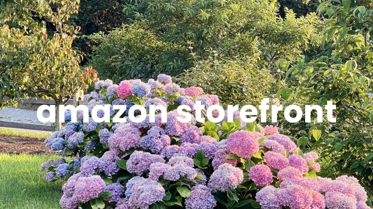 shop my amazon storefront