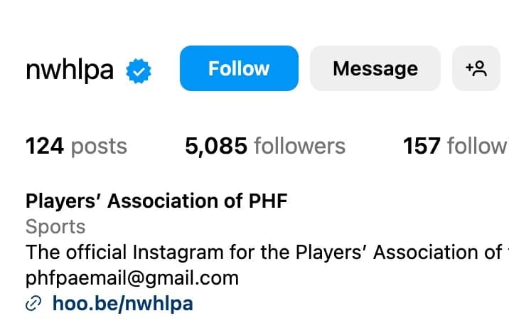 Premier Hockey Federation Players ' Association