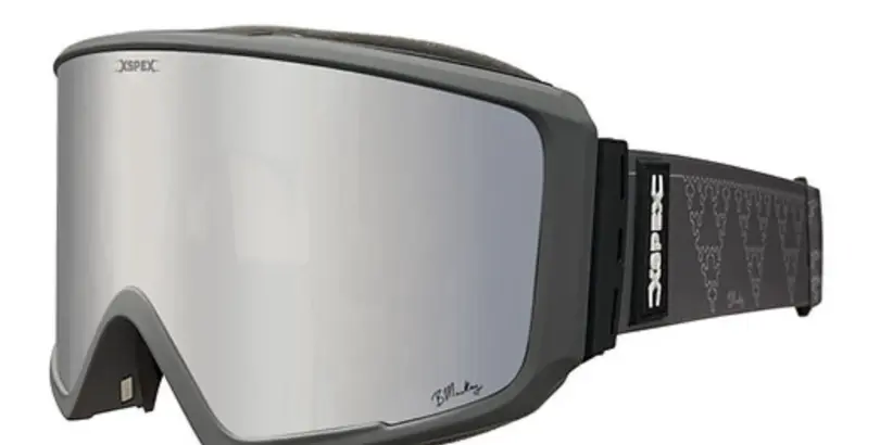 Promodel Goggle