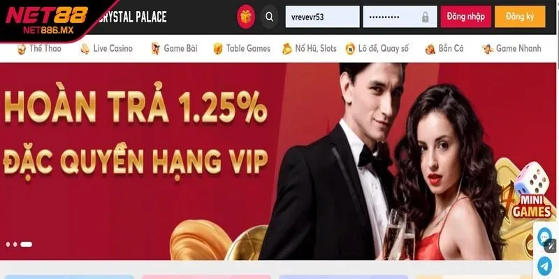 Website
