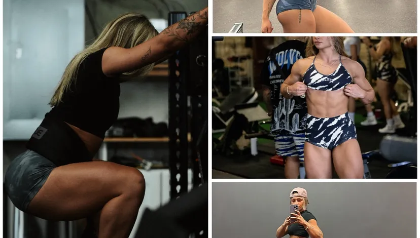 workout programs 