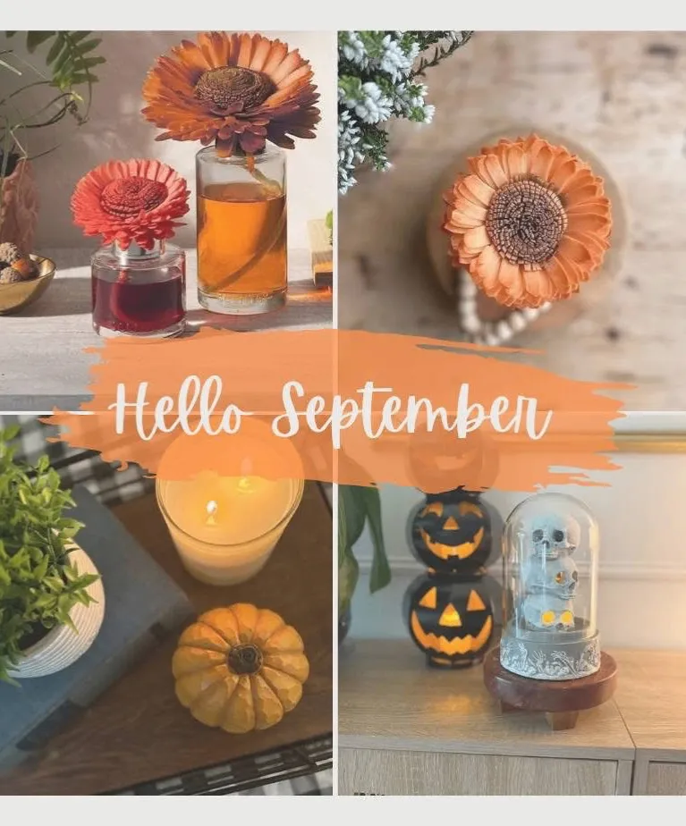 Fall/Winter Scentsy Bulk Order 