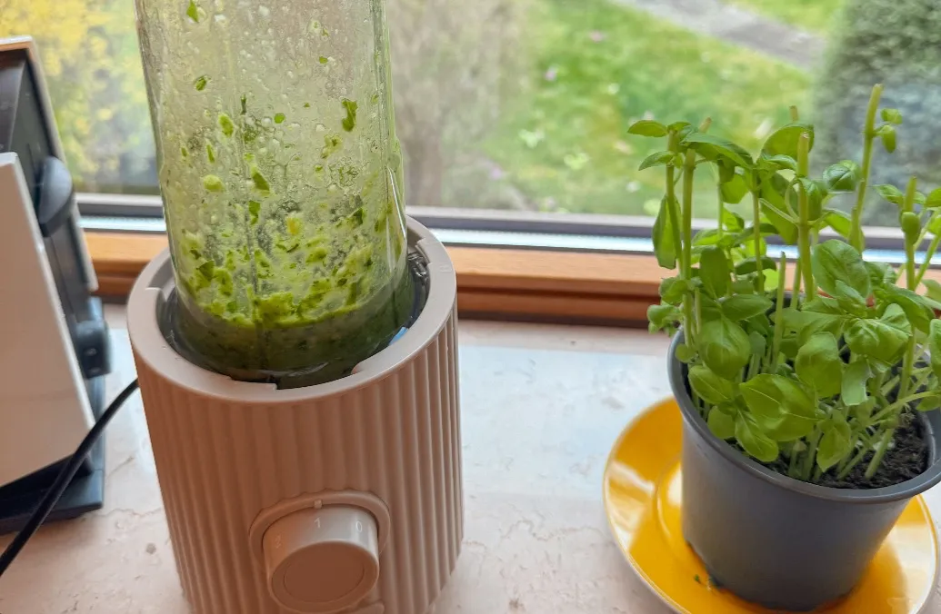 Homemade Basil Pesto