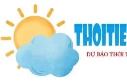 ttngaymaii