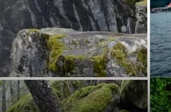 Gurugram to Nainital Trip