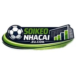 https://gravatar.com/soikeonhacaieucom
