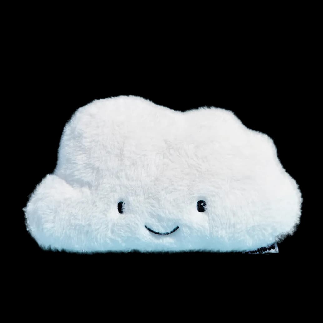Charlie the Cloud: Reusable Heating Pad