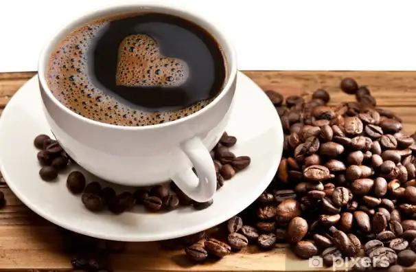 Mold Free Organic Coffee