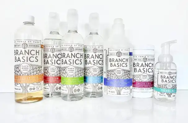 Non-toxic cleaning kit