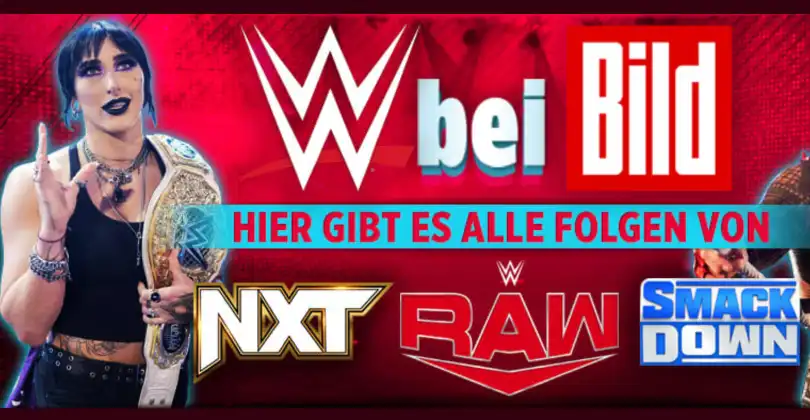 WWE auf Bild.de