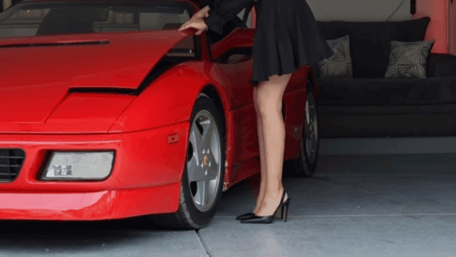 My Ferrari Fits