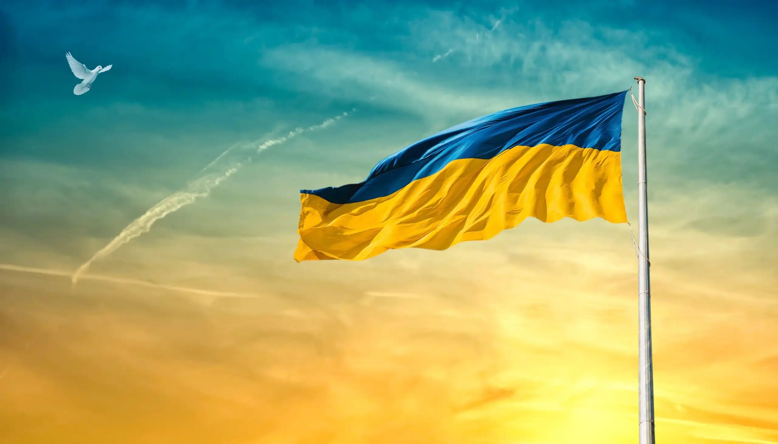 Donate Ukrainian Alliance