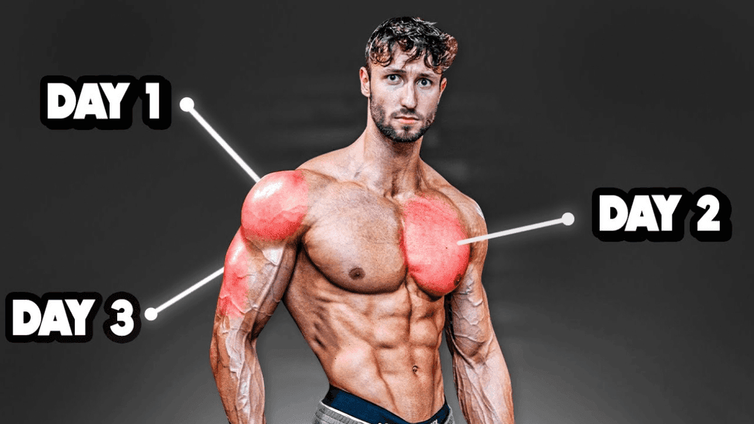 Workout Programs 50% Off