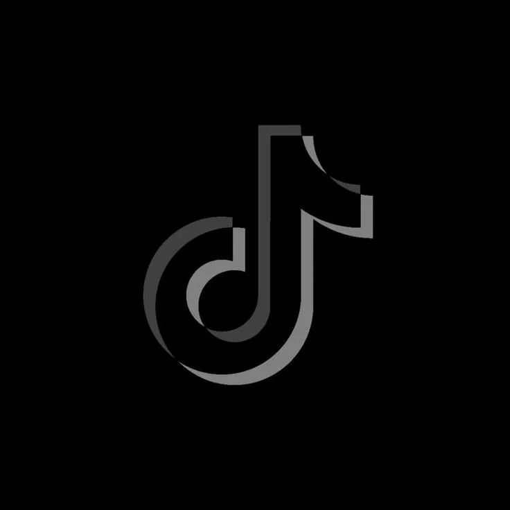 Twin TikTok 