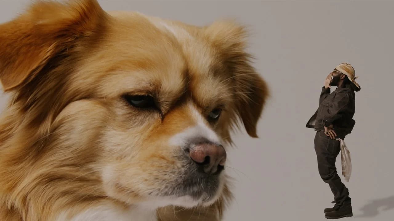  OFFICIAL VIDEO "MIKOLTON (DAT'S MY DAWG)"