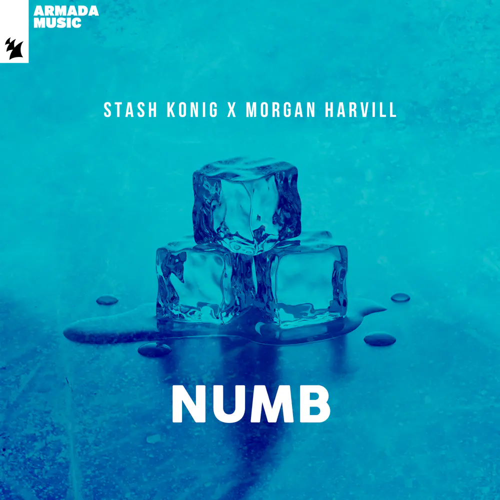 Stash Konig & Morgan Harvill – Numb