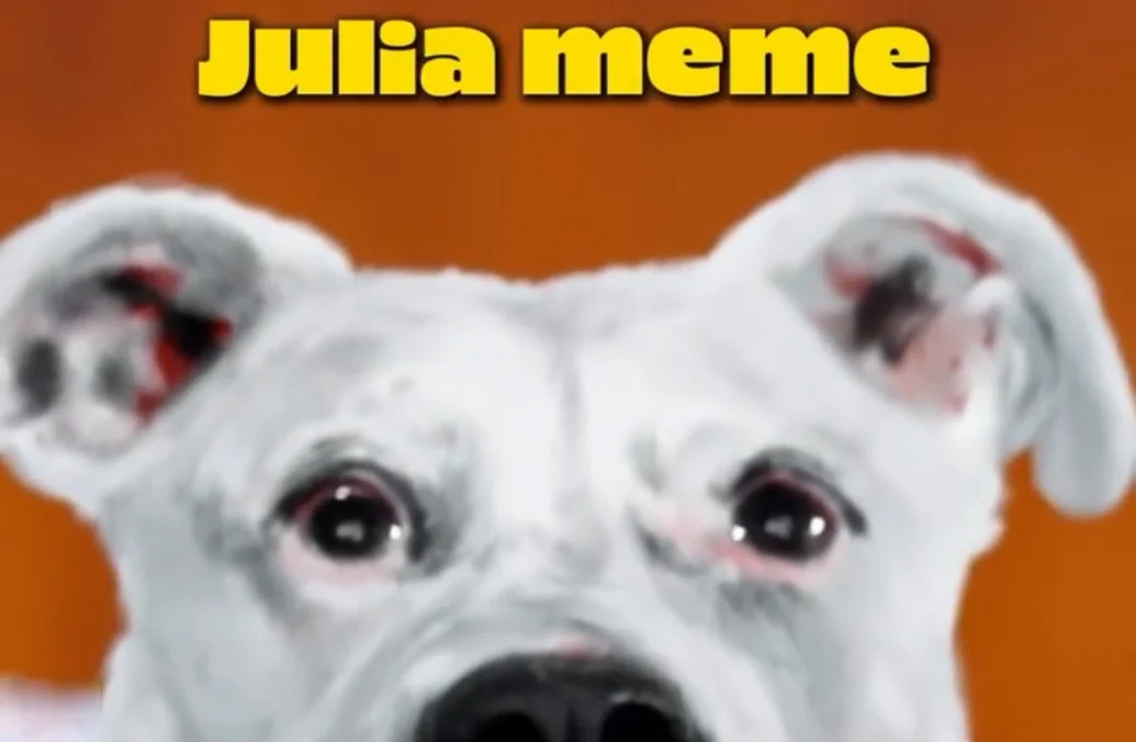 JULIA MEME COIN