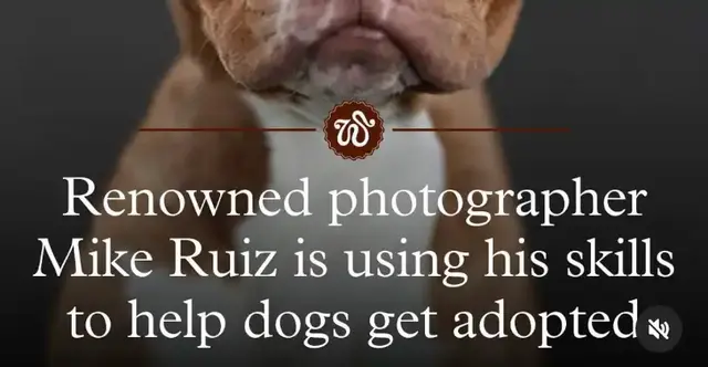 Mike Ruiz recruits photographers to save dogs