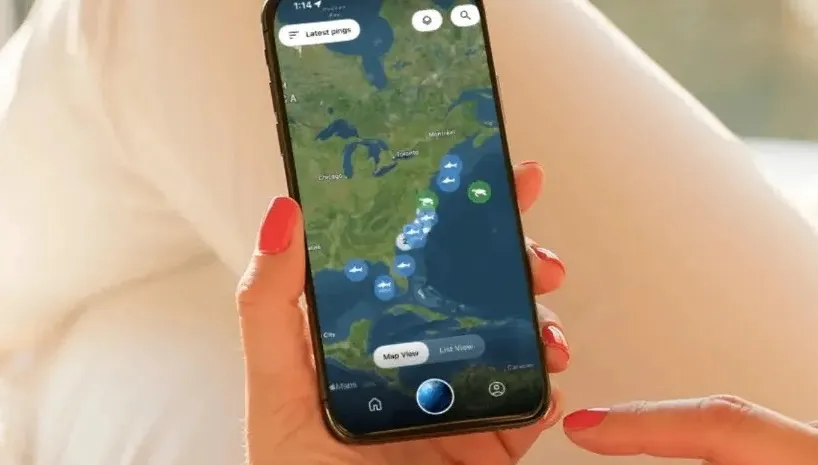FREE SHARK TRACKER APP